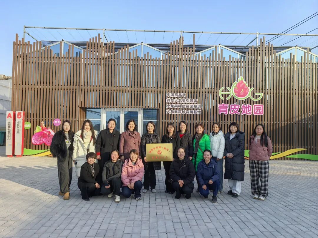 杨陵区：凝聚巾帼力量  赋能电商发展