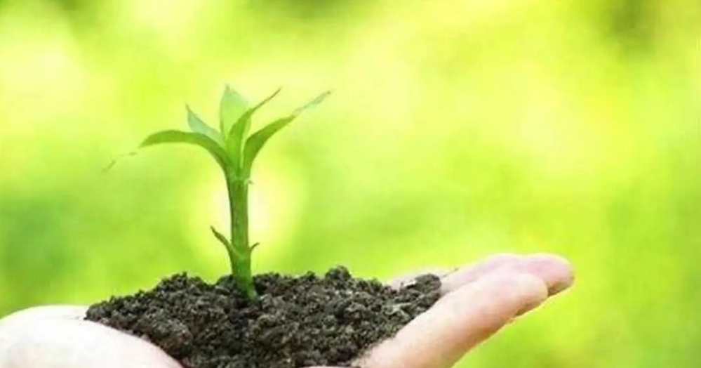 【有机肥产业】规模将达5000亿元，但行业尚未形成工业化规模生产