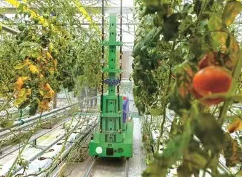 【数字农业案例】无人农场催生新职业 圈粉年轻人重返田间