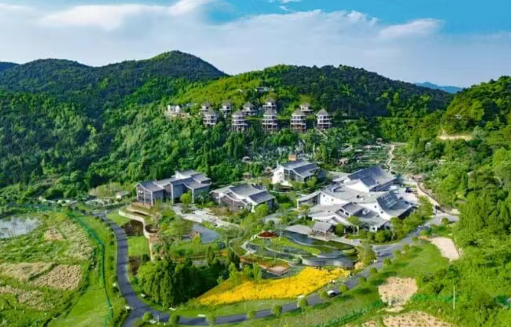 【深度观察】十五五规划乡村振兴工作思路