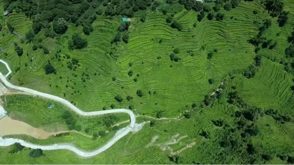 【农村电商案例】如何从传统走向新生，农村电商持续升级