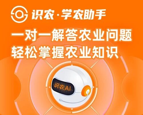 种地也开始拼“科技”了：识农AI正在悄悄改变农业生产方式！