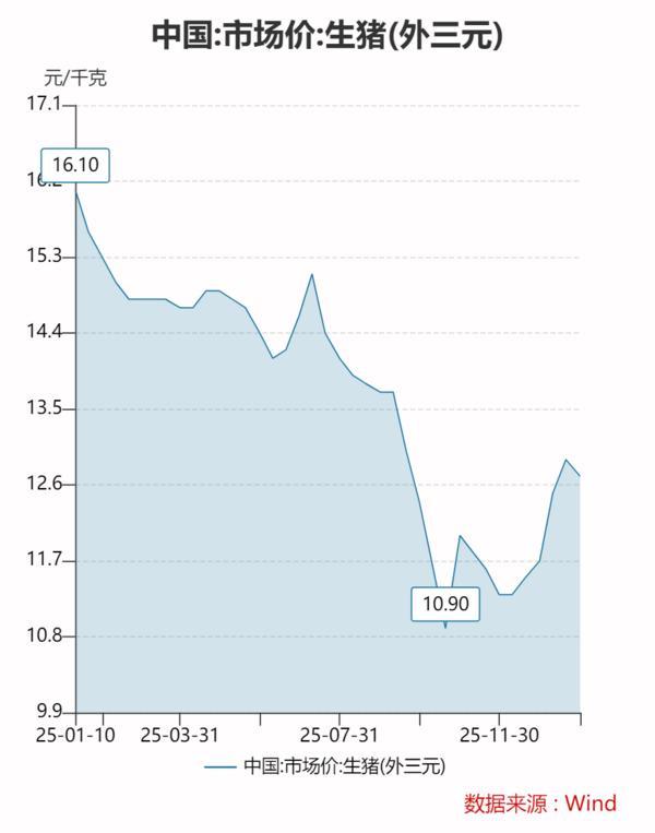 2026年猪价能否迎来周期性反弹？
