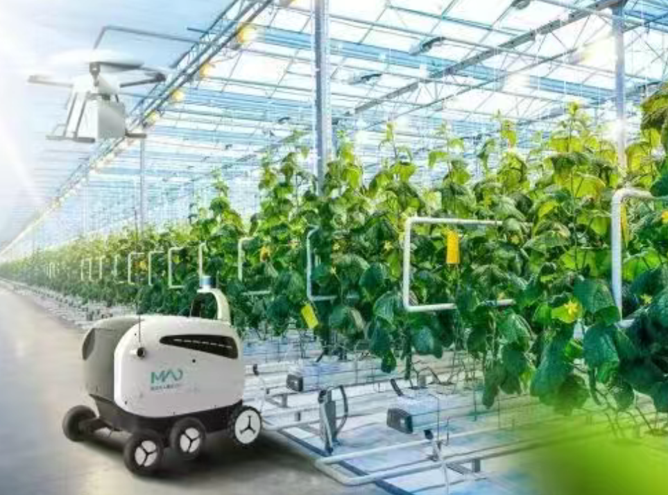 未来农业科技三个突破点：植物工厂、智慧农业、功能食品